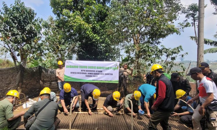 Perhutani Bandung Utara Laksanakan Tabur Benih Pinus di Burangrang Selatan