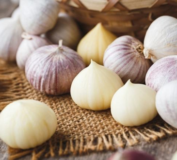 7 Manfaat Bawang Putih Tunggal untuk Kesehatan Tubuh