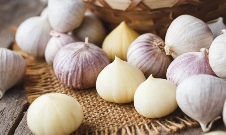 7 Manfaat Bawang Putih Tunggal untuk Kesehatan Tubuh