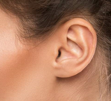 4 Fungsi Daun Telinga dan Strukturnya