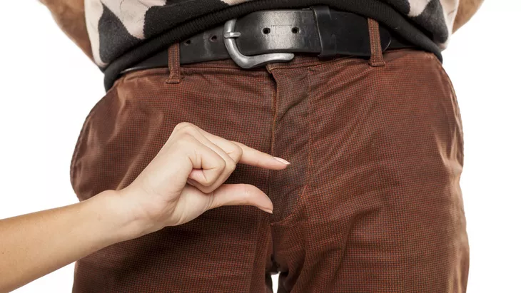 10 Keunggulan Mr. P Kecil yang Harus Anda Tahu